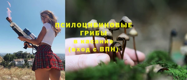 мет Осинники
