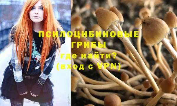 мет Осинники