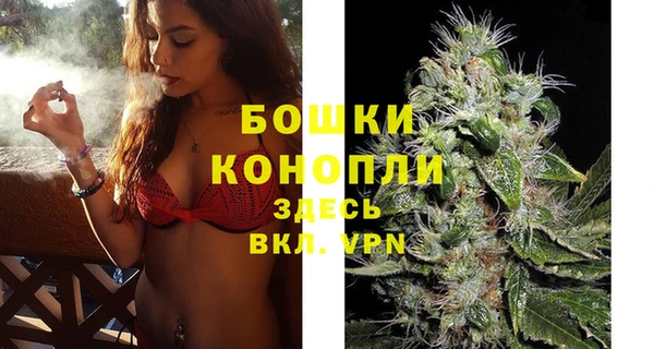 индика Сясьстрой
