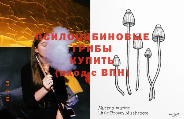 мет Осинники