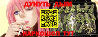 гашик Аргун