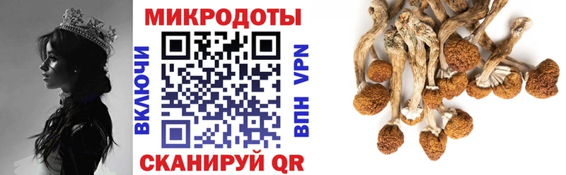 OMG сайт  магазин    Борзя  Галлюциногенные грибы ЛСД 