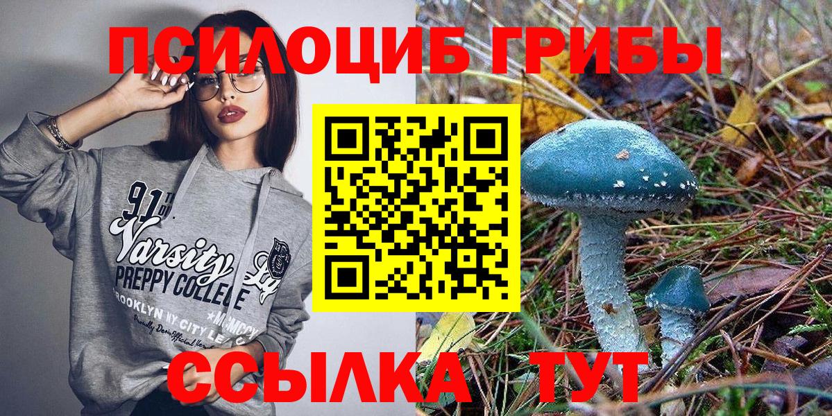 Борзя  Псилоцибиновые грибы прущие грибы  Вход с VPN  Псилоцибиновые грибы Psilocybine cubensis 