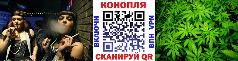 Марихуана план  купить   Борзя 